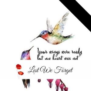 Meet your Posher, Lyse